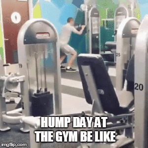 Hump day at the gym be like @PMSLweb.com