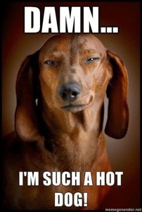 Damn I’m such a hot dog - funny meme at PMSLweb.com