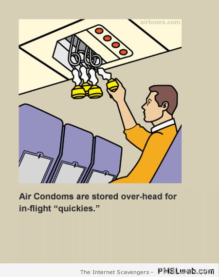 Funny fake airplane guidelines at PMSLweb.com