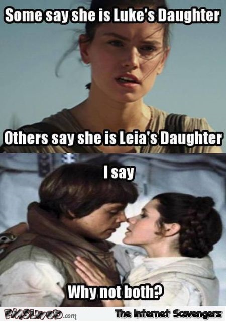 20-Luke-and-Leia-s-daughter-meme.jpg