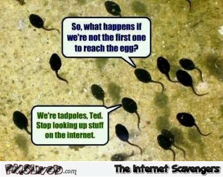 Funny tadpoles and internet @PMSLweb.com