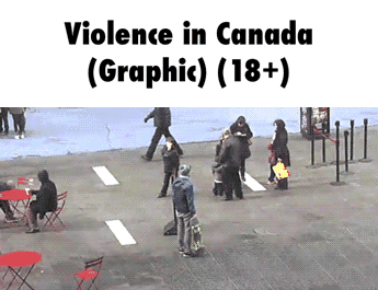 Image result for funny canadian on canadian violence gif