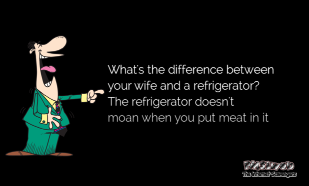 The difference between your wife and a refrigerator adult joke @PMSLweb.com