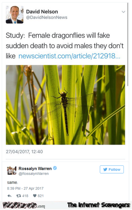 Funny female dragonflies tweet @PMSLweb.com