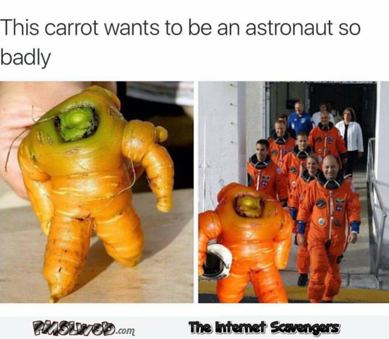 This carrot wants to be an astronaut funny meme @PMSLweb.com